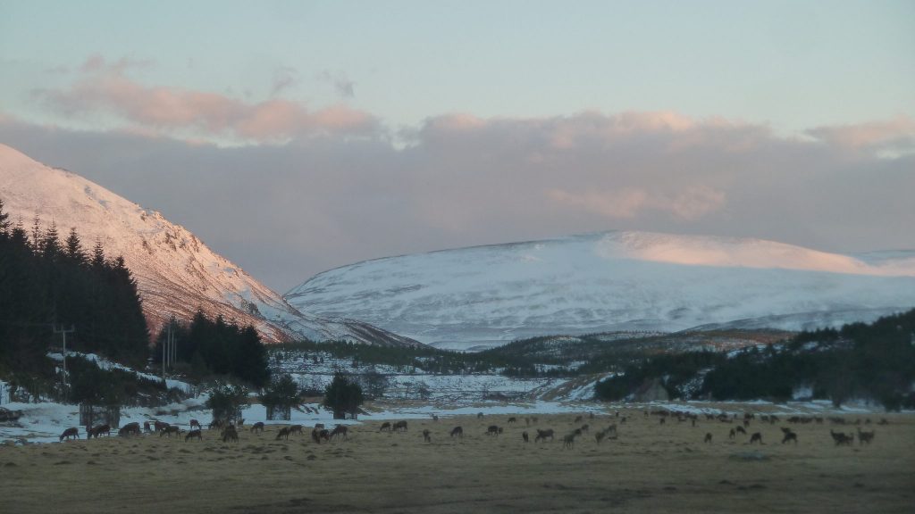 Evening view from the lodge