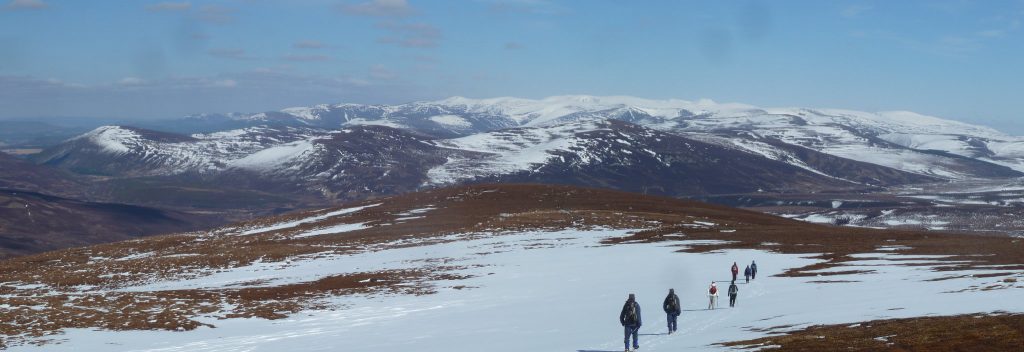 Cairngorm panorama