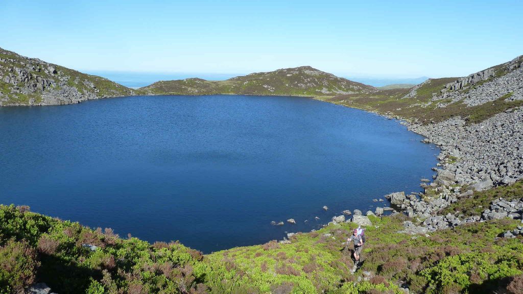 Rhinogs