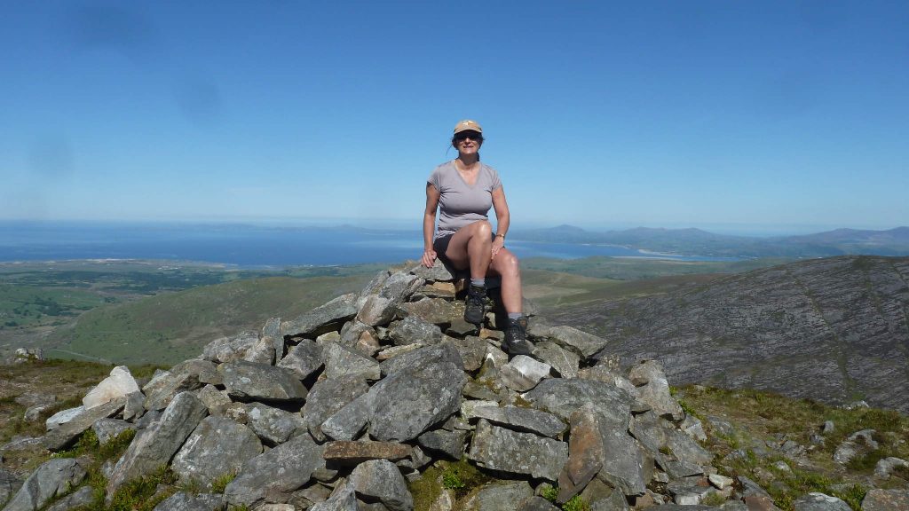 Rhinogs